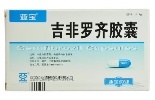 亚宝吉非罗齐胶囊招商代理 :吉非罗齐胶囊 0.3g*20s 山西亚宝药业