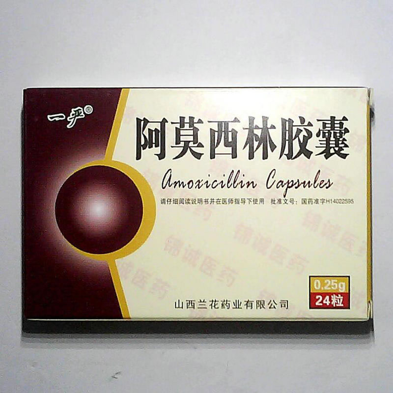 一严阿莫西林胶囊招商代理 24粒 山西兰花药业