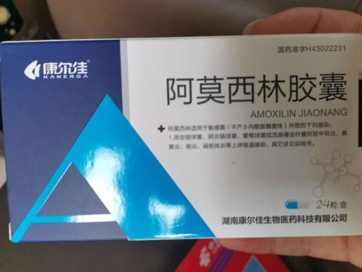 康尔佳阿莫西林胶囊招商代理 24粒