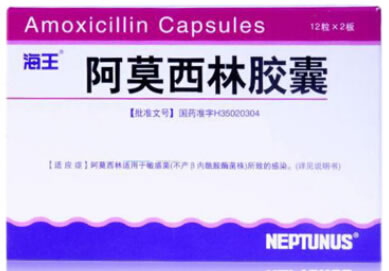 海王阿莫西林胶囊招商代理 24粒 海王福药