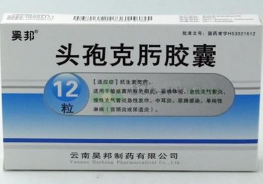 头孢克肟胶囊招商代理 12粒 昊邦制药