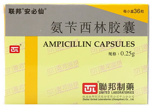 联邦安必仙氨苄西林胶囊招商代理 36粒