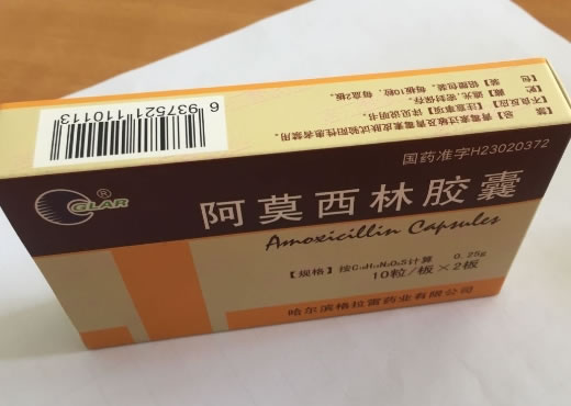 GLAR阿莫西林胶囊招商代理 20粒 哈尔滨格拉雷
