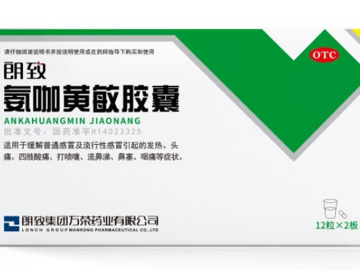 氨咖黄敏胶囊招商代理 :氨咖黄敏胶囊 12s*2板 朗致集团万荣药业