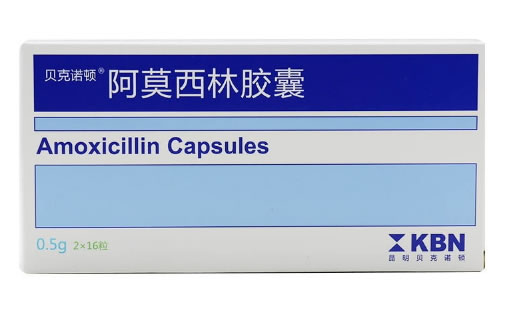 贝克诺顿阿莫西林胶囊招商代理 32粒 贝克诺顿制药