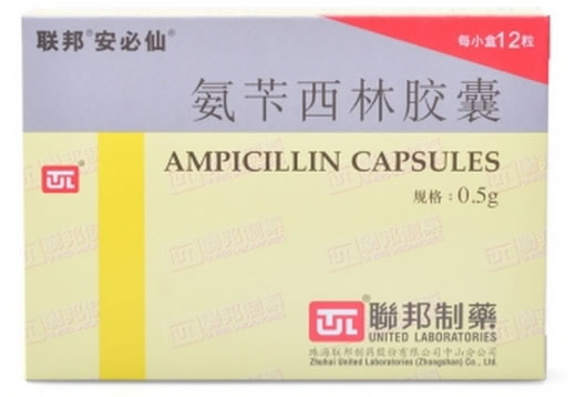 联邦/安必仙氨苄西林胶囊招商代理 12粒