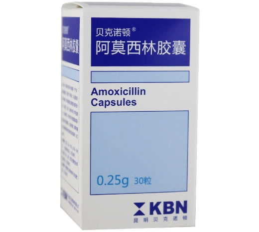 阿莫西林胶囊招商代理 30粒 昆明贝克诺顿制药
