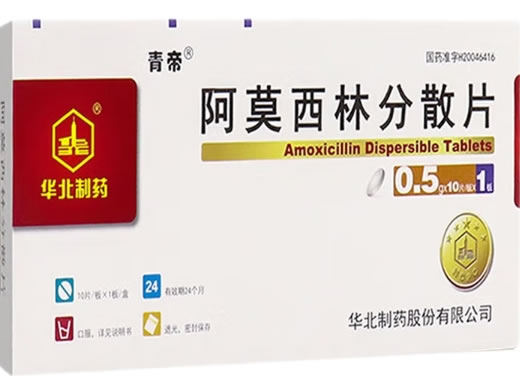 青帝/华北制药阿莫西林分散片招商代理 0.5g*10片