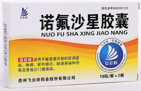 飞云岭诺氟沙星胶囊招商代理 36粒 飞云岭药业