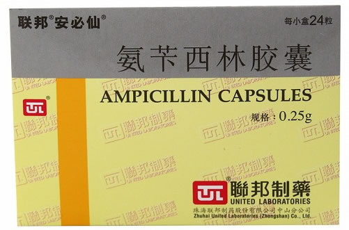 联邦/安必仙氨苄西林胶囊招商代理 0.25g*24粒
