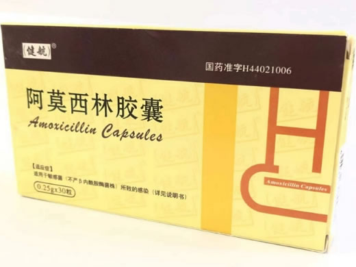 健航阿莫西林胶囊招商代理 30粒 广东奇灵