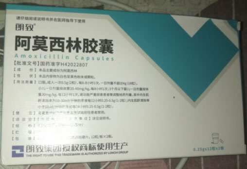 朗致阿莫西林胶囊招商代理 24粒