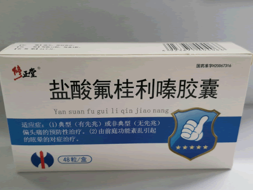 修正堂盐酸氟桂利嗪胶囊招商代理 48粒