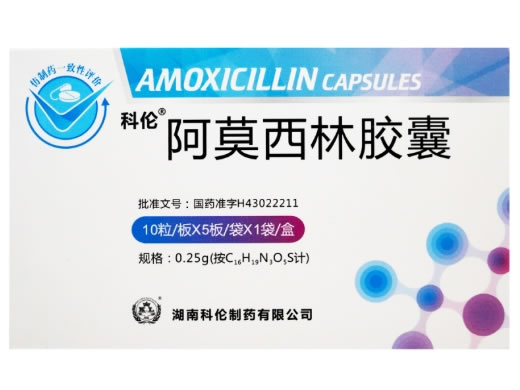 KL阿莫西林胶囊招商代理 50粒 湖南科伦