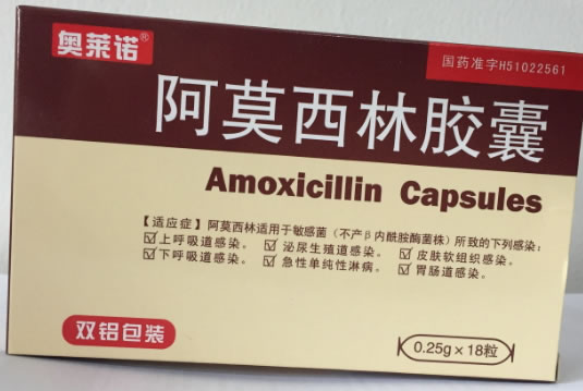 奥莱诺阿莫西林胶囊招商代理 18粒