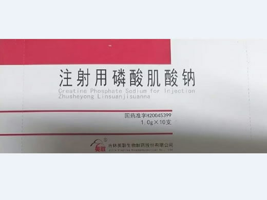 杜玛注射用磷酸肌酸钠招商代理 10支
