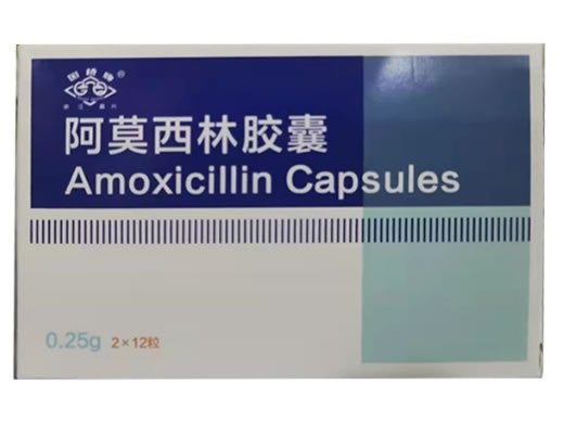 阿莫西林胶囊招商代理 24粒 贝克诺顿