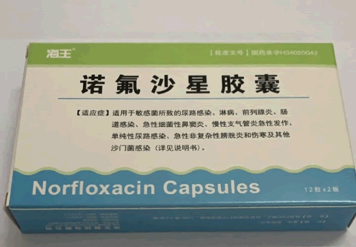 海王诺氟沙星胶囊招商代理 24粒 涛生制药