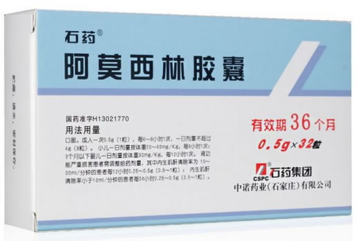 石药阿莫西林胶囊招商代理 32粒
