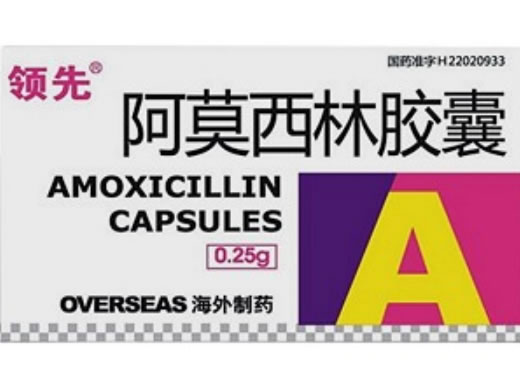 领先阿莫西林胶囊招商代理 20粒 长春海外制药