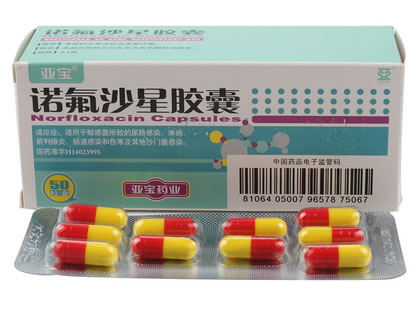 诺氟沙星胶囊招商代理 :诺氟沙星胶囊 0.1g*50s 亚宝药业太原制药