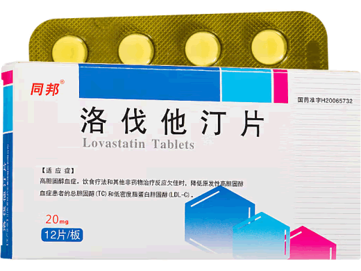 同邦洛伐他汀片招商代理 12片 山东罗欣