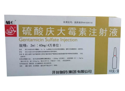 辅仁硫酸庆大霉素注射液招商代理 10支 开封制药