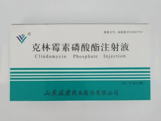 克林霉素磷酸酯注射液招商代理 10支 山东益康