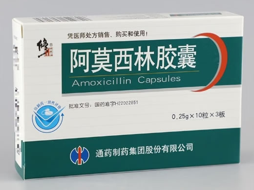 修正阿莫西林胶囊招商代理 30粒 通药制药