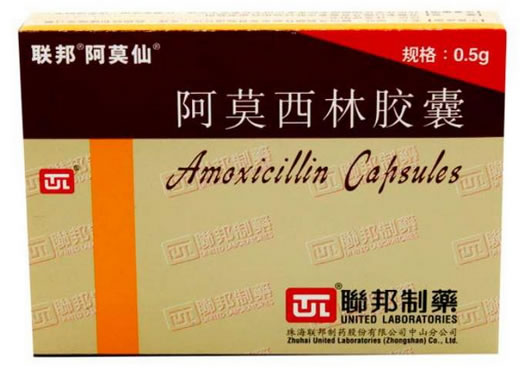 邦制/阿莫仙阿莫西林胶囊招商代理 24粒 联邦制药