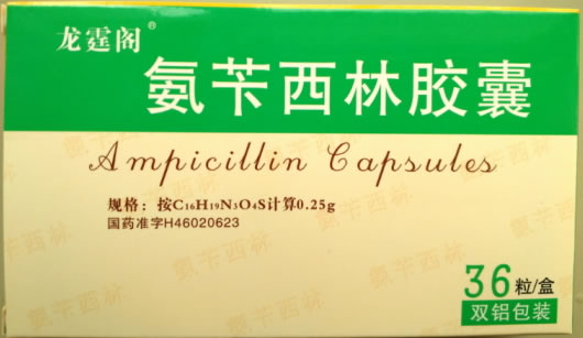 龙霆阁氨苄西林胶囊招商代理 36粒
