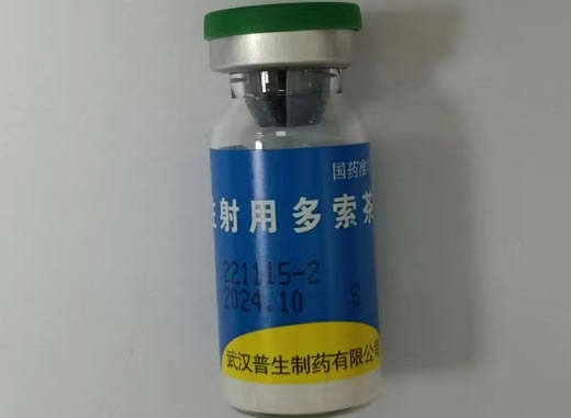 注射用多索茶碱招商代理 0.1g 武汉普生制药