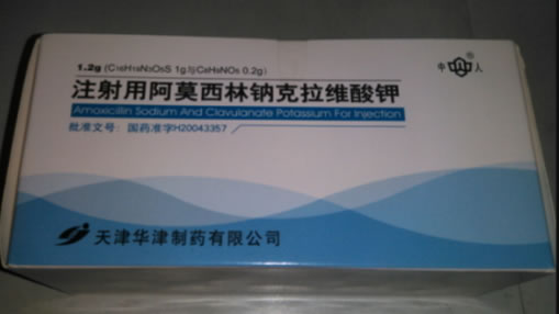 中人注射用阿莫西林钠克拉维酸钾招商代理 10瓶