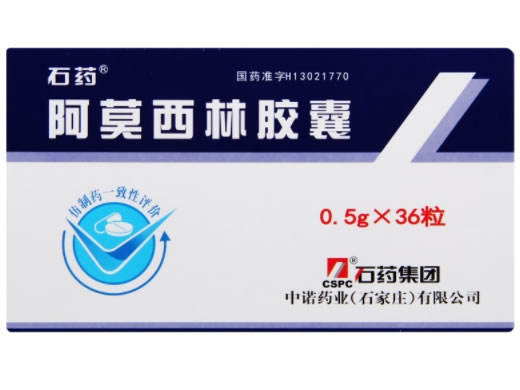 石药阿莫西林胶囊招商代理 36粒 中诺药业