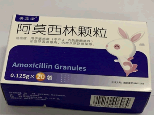 广云堂阿莫西林颗粒招商代理 20袋