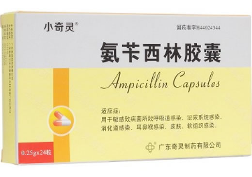 小奇灵氨苄西林胶囊招商代理 24粒