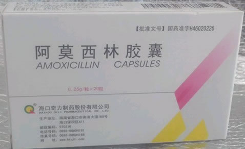 阿莫西林胶囊招商代理 :阿莫西林胶囊 0.25g*20s 海口奇力制药