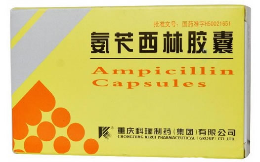 氨苄西林胶囊招商代理 24粒 科瑞制药