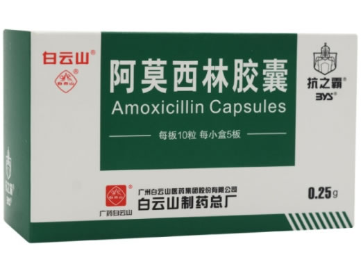 抗之霸/白云山阿莫西林胶囊招商代理 50粒 广州白云山
