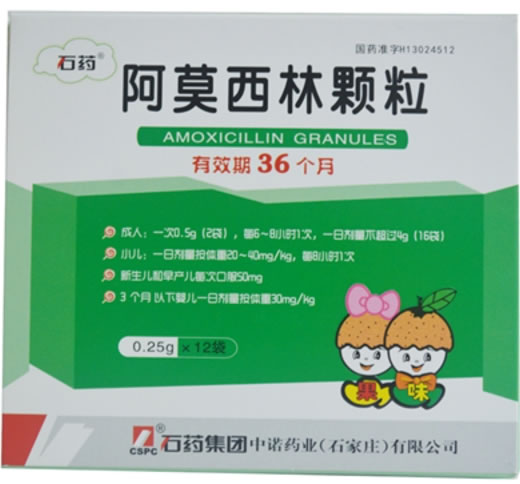 石药阿莫西林颗粒招商代理 12袋 中诺药业