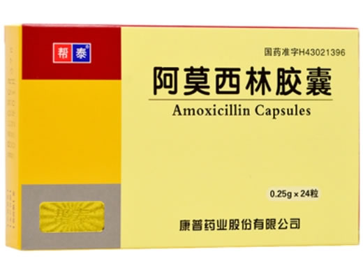 阿莫西林胶囊招商代理 24粒 康普药业