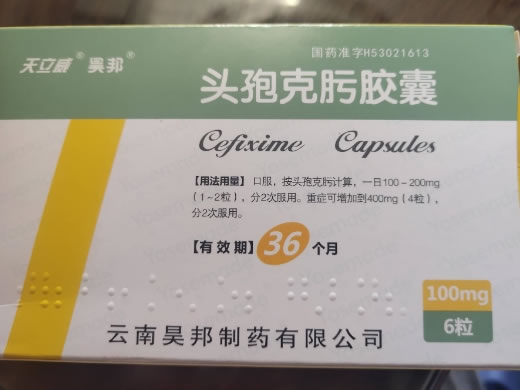 昊邦头孢克肟胶囊招商代理 6粒