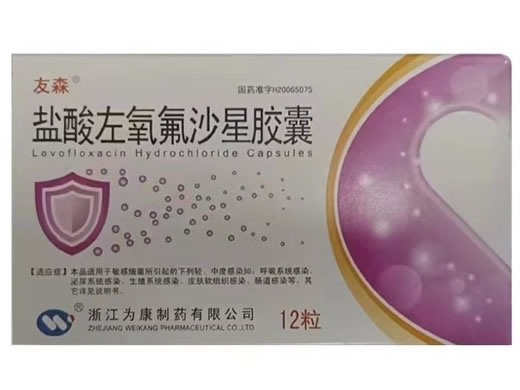 友森盐酸左氧氟沙星胶囊招商代理 12粒