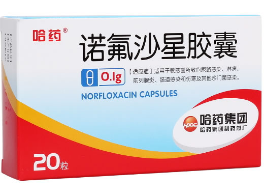 哈药诺氟沙星胶囊招商代理 20粒 哈药制药总厂