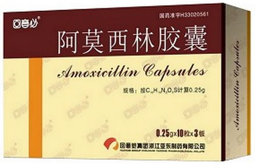 回音必阿莫西林胶囊招商代理 30粒 回音必集团