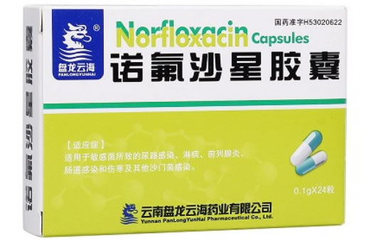 盘龙云海诺氟沙星胶囊招商代理 0.1g*24粒 云南盘龙云海药业
