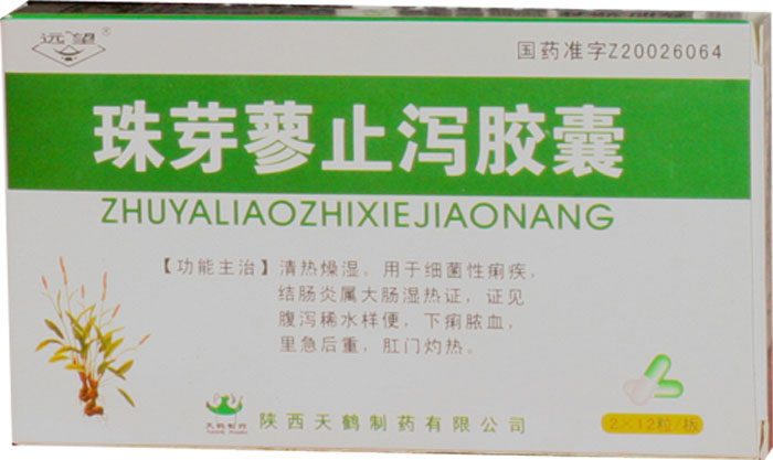 珠芽蓼止泻胶囊