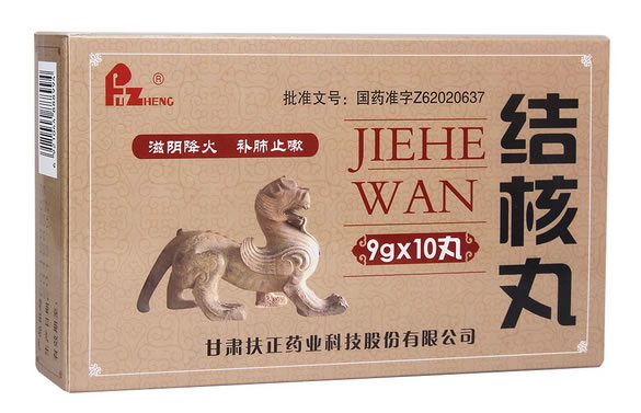 结核丸招商代理 10丸 扶正药业