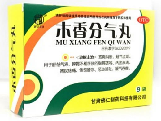 木香分气丸招商代理 :木香分气丸 6g*9袋 甘肃佛仁制药