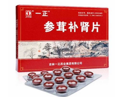 参茸补肾片